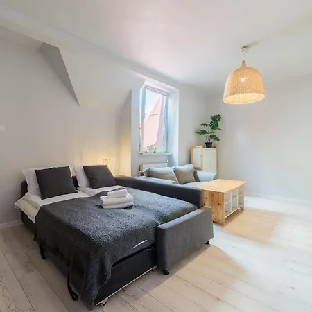 Glogowska Spacious By Bookinghost * Poznań